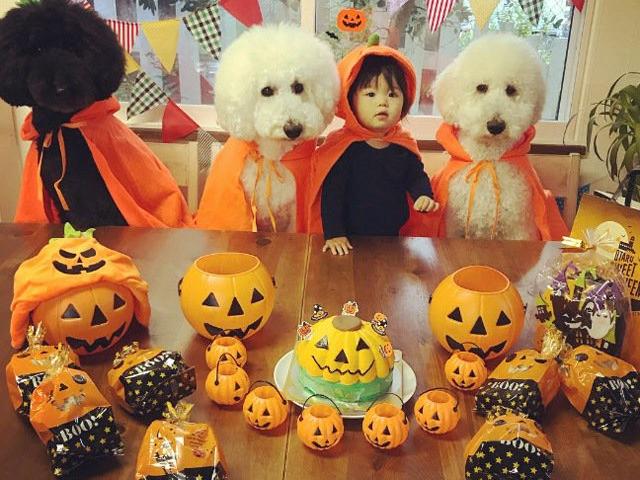 Bạn trẻ - Cuộc sống - Bé gái 1 tuổi bên 3 chú chó "khổng lồ" gây bão mạng