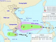 Tin tức trong ngày - Bão có khả năng đổ bộ thời điểm diễn ra APEC 2017