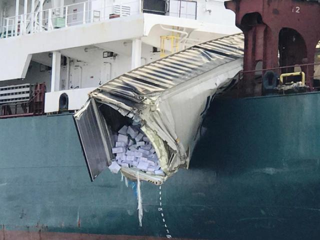 Tin tức trong ngày - Hai tàu container va chạm khủng khiếp, hàng ngàn hộp cá rơi xuống sông
