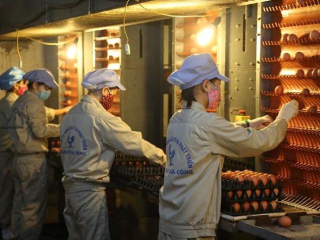 Kinh doanh - Lao động nữ xin nghỉ hưu sớm để… né chính sách