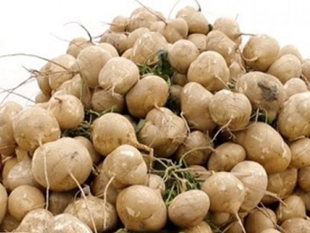 Sức khỏe đời sống - Lợi ích sức khỏe của cây củ đậu