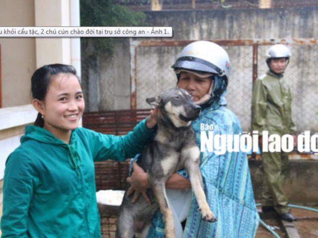 Tin tức trong ngày - Được cứu khỏi "cẩu tặc", 2 chú cún chào đời tại trụ sở công an