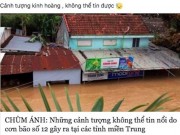 Công nghệ thông tin - Bão số 12 vừa qua, dân mạng lại quặn lòng chia sẻ ảnh lũ miền Trung