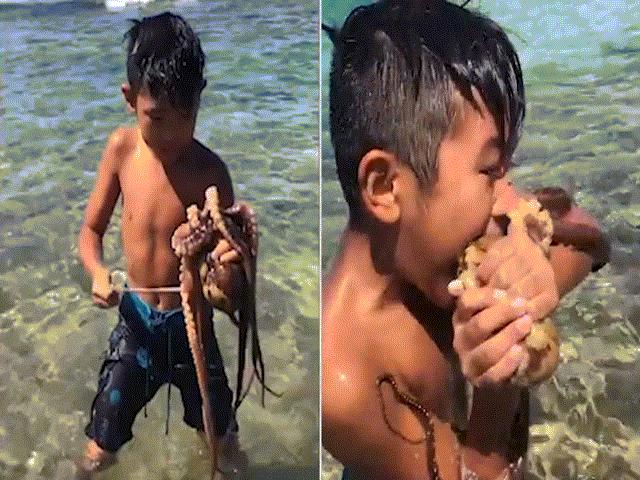 Cậu bé 10 tuổi dùng miệng cắn chết bạch tuộc