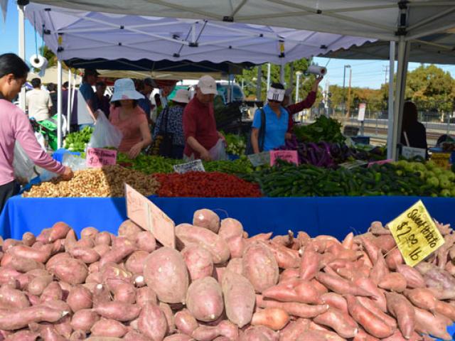 Thị trường - Tiêu dùng - Nông sản nhiễm dịch hại, doanh nghiệp vẫn bất chấp... nhập