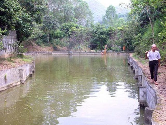 Thị trường - Tiêu dùng - Làm giàu ở nông thôn: Trang trại "Tuyệt tình cốc" bạc tỷ của ông Chao