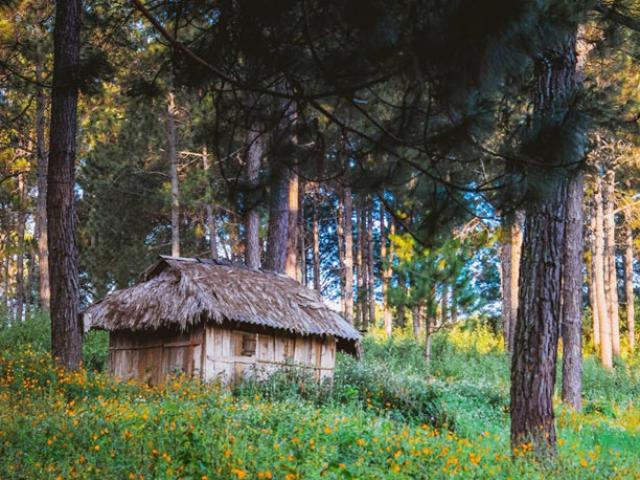 Du lịch - Đẹp mê hồn một "Đà Lạt ở Tây Bắc"