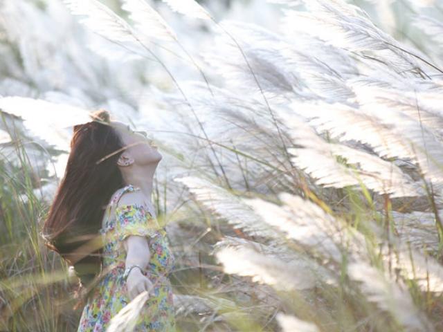 Du lịch - Du khách mê mẩn với hoa lau nở trắng Sơn Trà