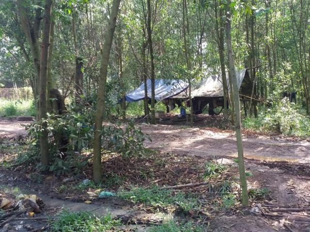 Pháp luật - Nhậu trong rừng tràm, em vợ đâm chết anh rể