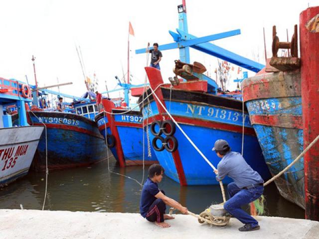 Tin tức trong ngày - Ninh Thuận – Bình Thuận khẩn trương ứng phó bão số 14