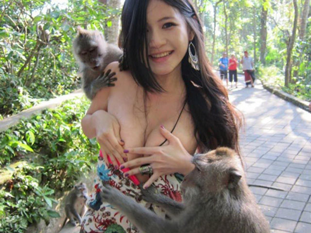 Tranh vui - Bắt quả tang đám động vật có "máu dê xồm"