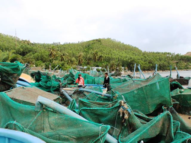 Thị trường - Tiêu dùng - Nước mắt ở làng nghề nuôi trồng thủy sản sau bão dữ