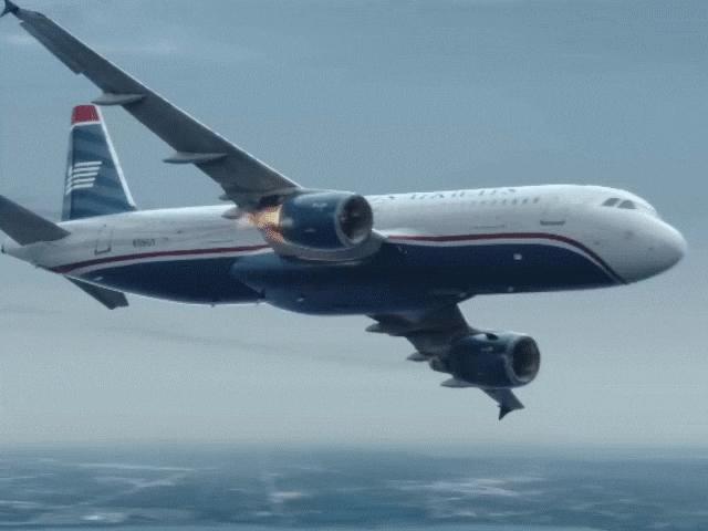 Công nghệ thông tin - Điều không tưởng khi loài chim va chạm với động cơ máy bay