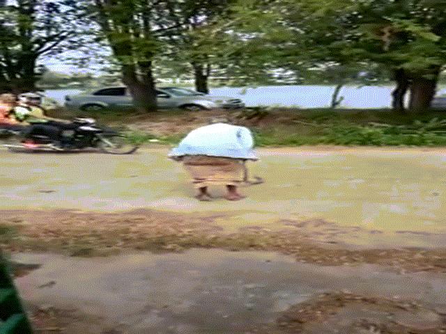 Phi thường - kỳ quặc - Thấy rắn ăn thịt cóc, bà cụ làm điều khiến dân mạng sửng sốt