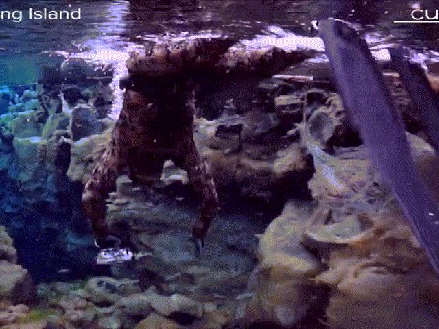 Du lịch - Cảnh tượng "không tưởng" tại khe nứt tử thần giữa hai lục địa