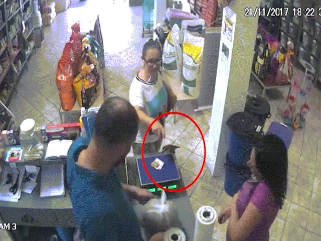 Phi thường - kỳ quặc - Chim bay vào cửa hàng, cướp tiền của khách