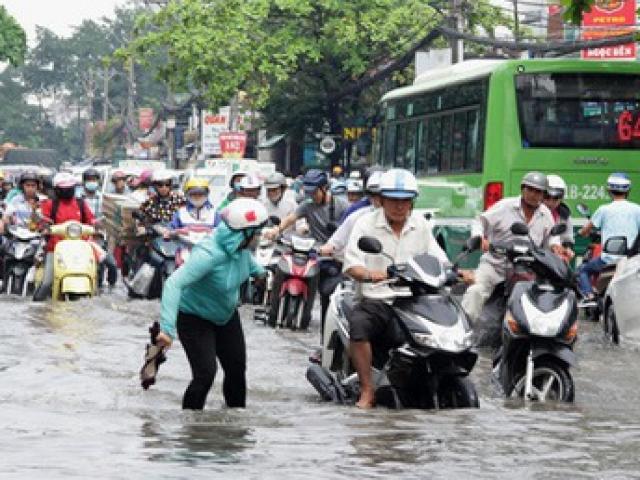 Giám đốc Trung tâm chống ngập TPHCM vi phạm về kê khai tài sản