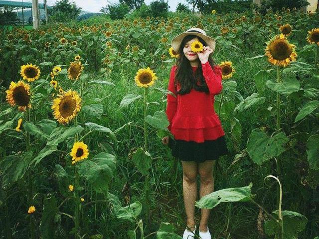 Du lịch - Có hẹn với Đà Lạt – Chuyến đi của cô gái 9x khiến hàng ngàn người thích thú