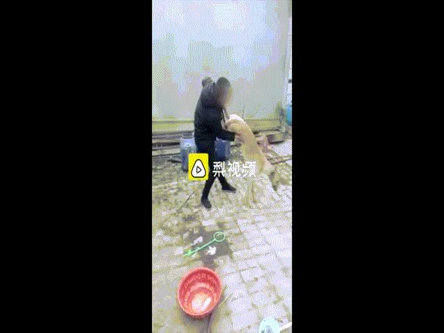 Thế giới - Chủ giết chó theo cách dã man gây phẫn nộ ở Trung Quốc