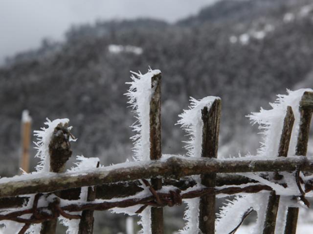 Tin tức trong ngày - Đây là lý do khẳng định mùa đông năm nay sẽ khắc nghiệt hơn