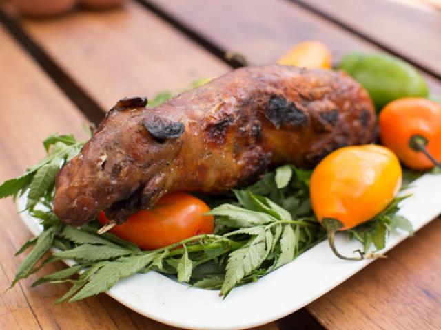 Ẩm thực - Chuột lang nướng, món đặc sản gây tranh cãi "nảy lửa" ở nhiều quốc gia