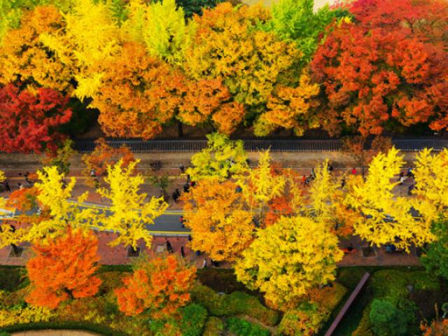 Du lịch - Con đường "tình yêu tan vỡ" khiến các cặp đôi không dám bén mảng