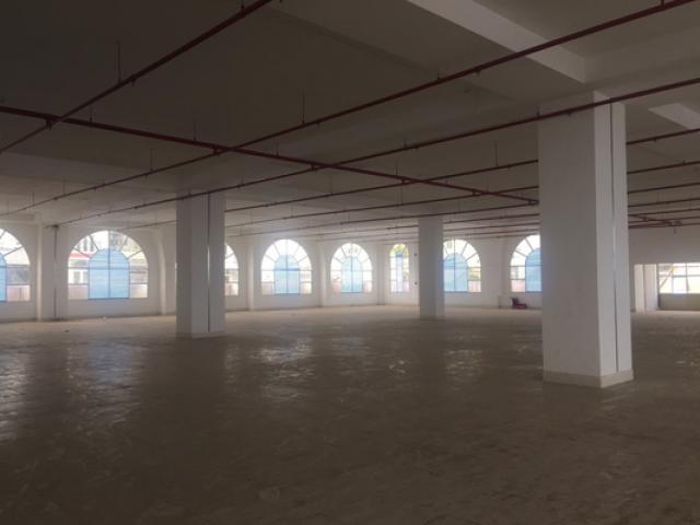 Tin tức trong ngày - Thanh tra Chính phủ vào cuộc vụ Chủ tịch tỉnh Bạc Liêu bị phê bình