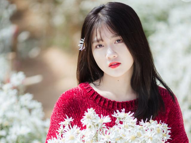 Bạn trẻ - Cuộc sống - Say mê ngắm hot girl Sài thành đẹp như tranh vẽ bên cúc họa mi Hà Nội