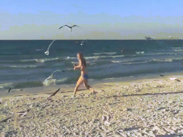 Người đẹp bikini bị đàn chim truy đuổi trên bãi biển