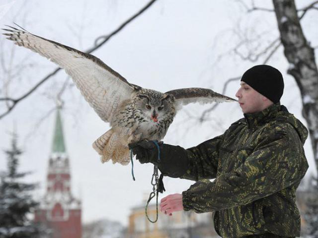 Thế giới - Đội cảnh vệ biết bay chuyên bảo vệ nơi làm việc Tổng thống Nga