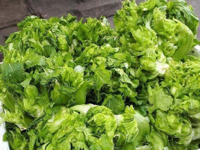 Thị trường - Tiêu dùng - Cải mầm đá Trung Quốc đội lốt Sa Pa tràn ngập thị trường