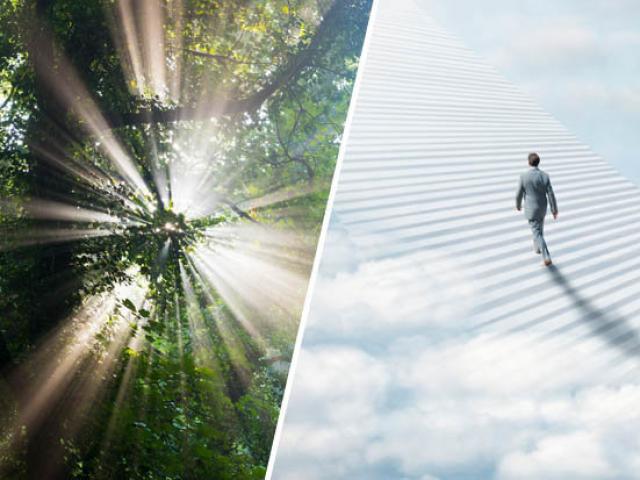 Phi thường - kỳ quặc - Nhà khoa học hồi sinh từ cõi chết kể về trải nghiệm cận tử