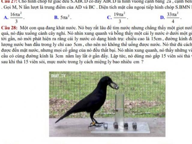 Giáo dục - du học - Thú vị chuyện 'Con quạ thông minh' vào đề thi toán