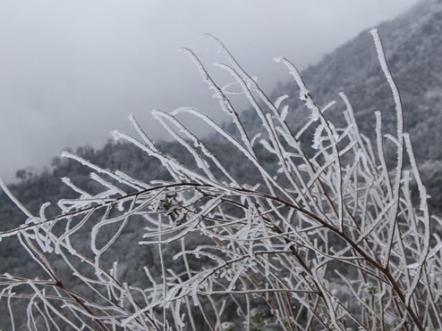 Tin tức trong ngày - Tiếp tục hứng không khí lạnh, miền Bắc khả năng có băng giá nhiều nơi