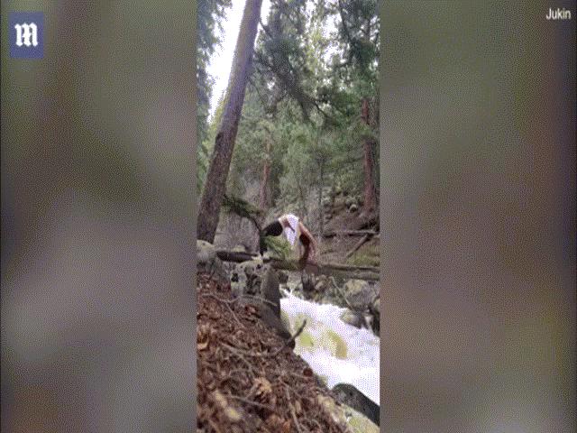 Bí quyết làm đẹp - Clip cô gái mạo hiểm tập yoga trên cây cầu gỗ bắc qua suối