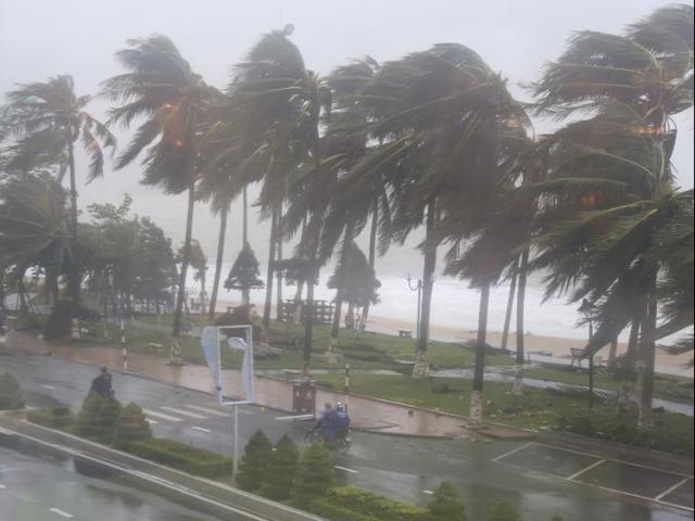 Tin tức trong ngày - Bão có khả năng xuất hiện đúng dịp Tết Nguyên đán 2018