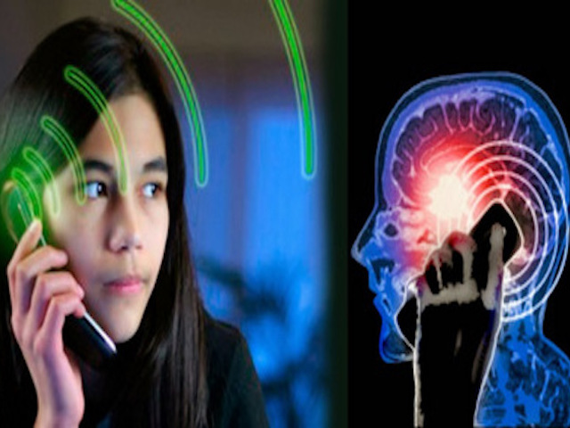 Công nghệ thông tin - Báo động sóng bức xạ của điện thoại làm gia tăng bệnh ung thư ở người