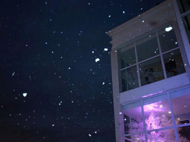 Tin tức trong ngày - Thực hư thông tin tuyết rơi trắng trời Đà Lạt