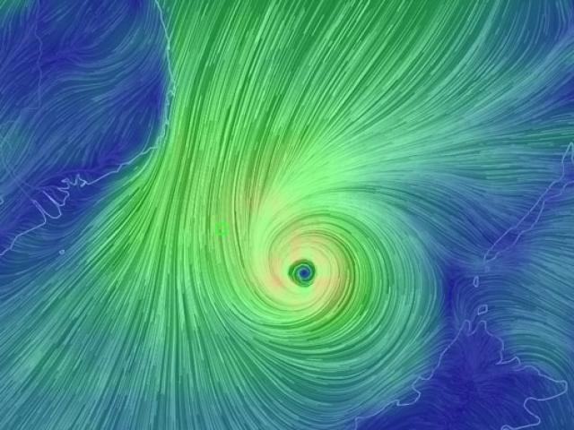Tin tức trong ngày - Bão Trâu Mộng áp sát, TP.HCM đang di dời 5.000 dân