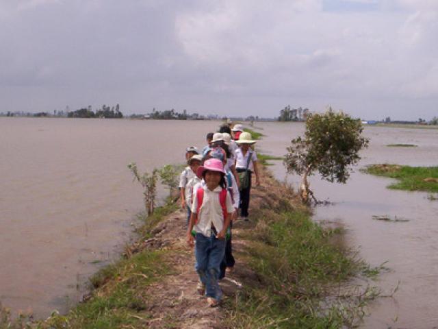 Ra thông báo nghỉ học tránh bão, giám đốc sở bị dân mạng “ném đá”