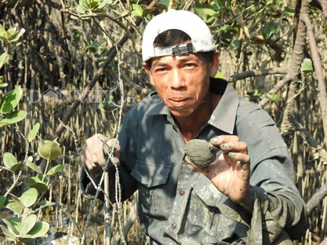 Thị trường - Tiêu dùng - "Săn" đặc sản tên ngán ăn hoài không chán trên đảo Quan Lạn