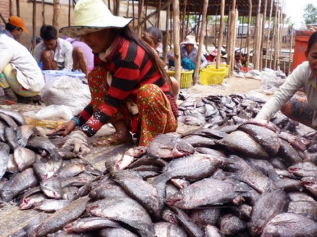 Thị trường - Tiêu dùng - Đặc sản miền Tây tất bật đón Tết
