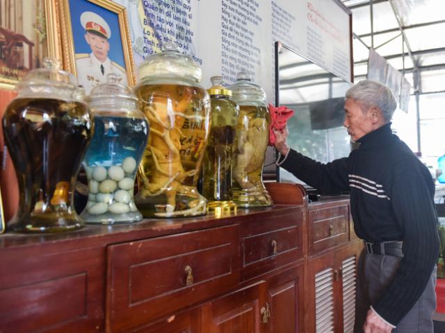 Tin tức trong ngày - Lão nông ngâm rượu giống “gà chúa”, khách trả trăm triệu cũng không bán 