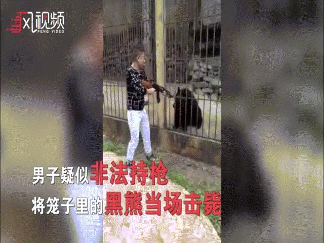 Phẫn nộ cảnh du khách Trung Quốc giương súng bắn chết gấu đen