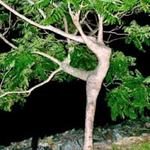 Những câu hỏi tưởng như ngớ ngẩn