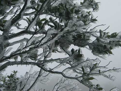 Tết dương lịch, Việt Nam có thể có tuyết - 1