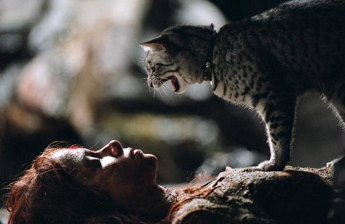 Trailer phim: Catwoman - 2