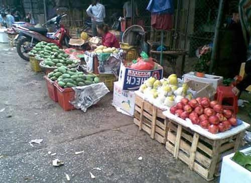 Rau quả thải loại thành hàng… quê - 1