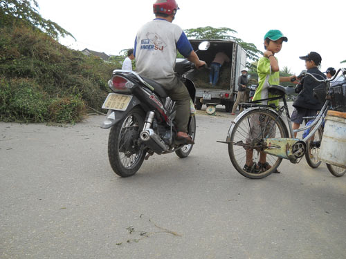 Đổ xô săn cây cà gai leo trị ung thư - 2