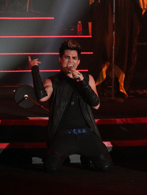 Fan Việt phát cuồng vì Adam Lambert - 1